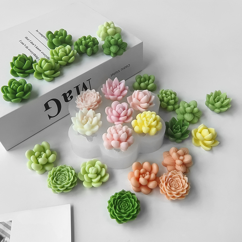 7 in 1 다육식물 선인장 실리콘 몰드, DIY 수제 - Soap Making In Home 리뷰 및 가격